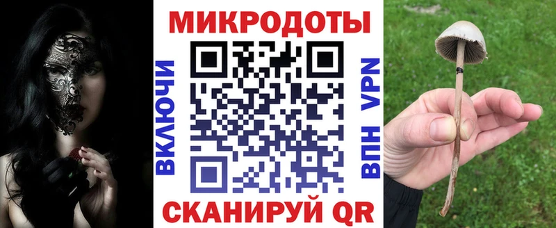 Галлюциногенные грибы Psilocybe  Купить где  Сертолово 